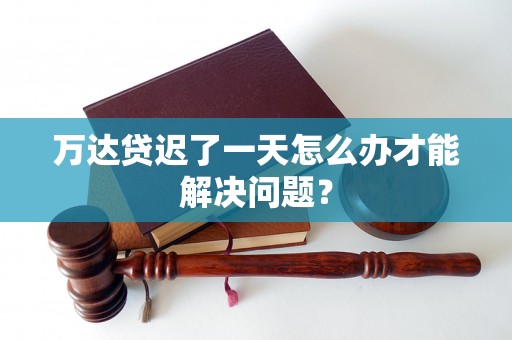 万达贷迟了一天怎么办才能解决问题？