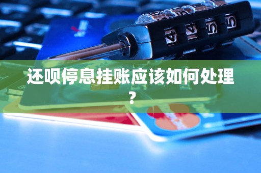 还呗停息挂账应该如何处理? 还呗停息挂账应该如何处理?