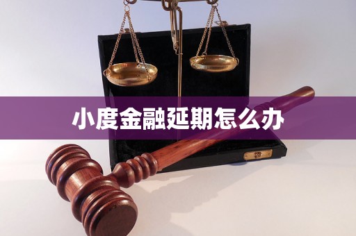 小度金融延期怎么办