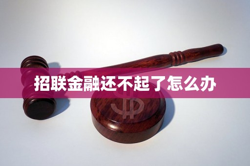 招联金融还不起了怎么办