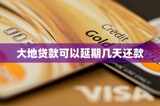 大地贷款可以延期几天还款
