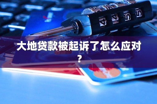 大地贷款被起诉了怎么应对？