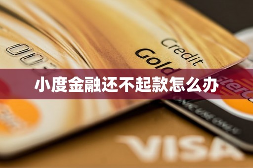 小度金融还不起款怎么办