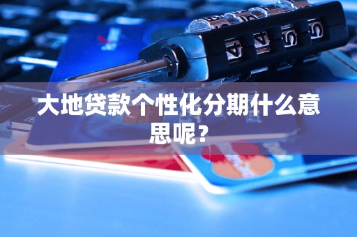 大地贷款个性化分期什么意思呢？