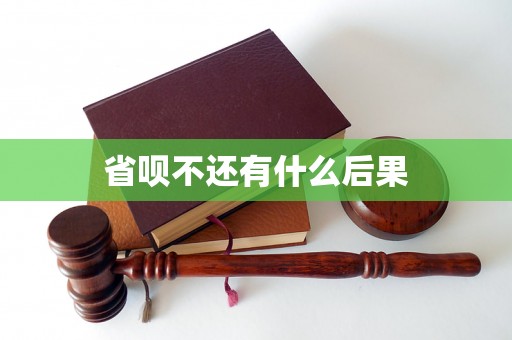 省呗不还有什么后果