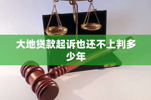 大地贷款起诉也还不上判多少年 大地贷款起诉也还不上判多少年