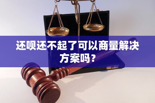 还呗还不起了可以商量解决方案吗？