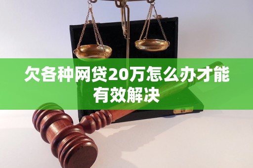 欠各种网贷20万怎么办才能有效解决