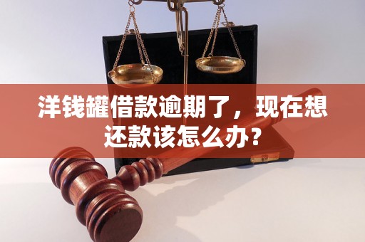 洋钱罐借款逾期了，现在想还款该怎么办？