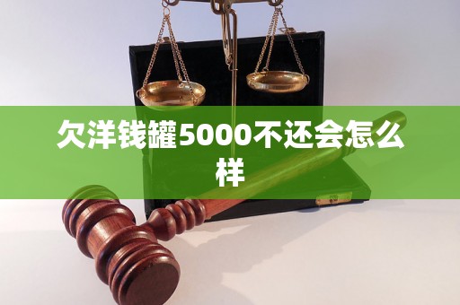 欠洋钱罐5000不还会怎么样