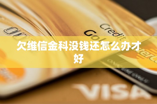 欠维信金科没钱还怎么办才好 欠维信金科没钱还怎么办才好