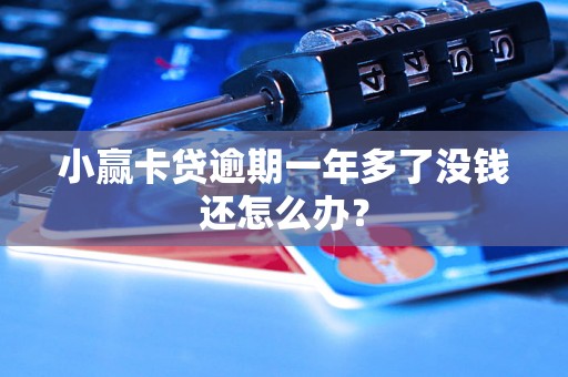 小赢卡贷逾期一年多了没钱还怎么办? 小赢卡贷逾期一年多了没钱还怎么办?