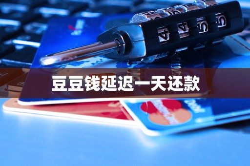 豆豆钱延迟一天还款 豆豆钱延迟一天还款