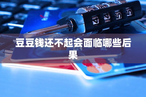 豆豆钱还不起会面临哪些后果
