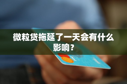 微粒贷拖延了一天会有什么影响? 微粒贷拖延了一天会有什么影响?