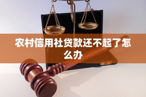 农村信用社贷款还不起了怎么办