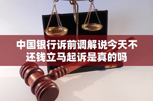 中国银行诉前调解说今天不还钱立马起诉是真的吗 中国银行诉前调解说今天不还钱立马起诉是真的吗