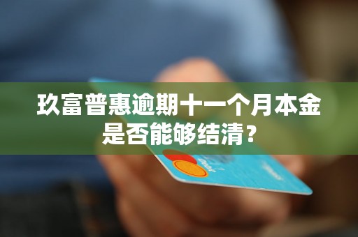 玖富普惠逾期十一个月本金是否能够结清？