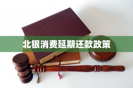 北银消费延期还款政策