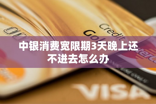 中银消费宽限期3天晚上还不进去怎么办
