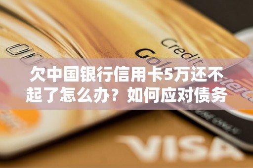 欠中国银行信用卡5万还不起了怎么办？如何应对债务压力？