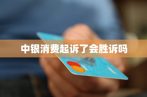 中银消费起诉了会胜诉吗