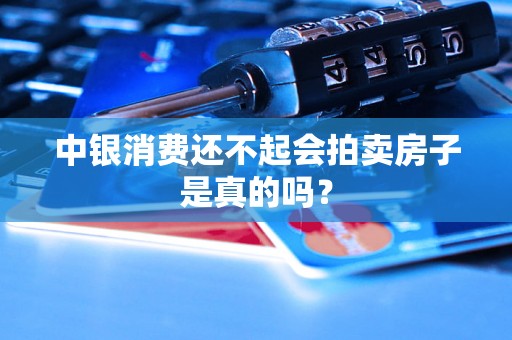 中银消费还不起会拍卖房子是真的吗？