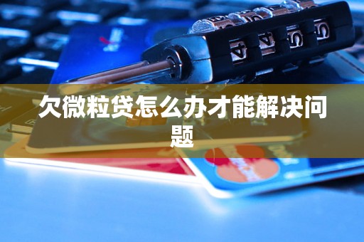 欠微粒贷怎么办才能解决问题