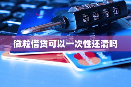 微粒借贷可以一次性还清吗