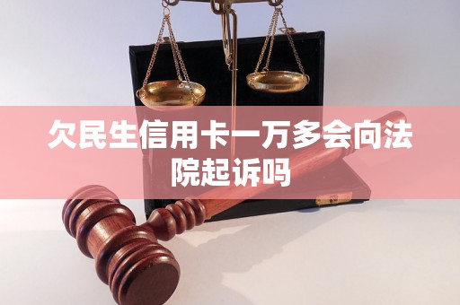 欠民生信用卡一万多会向法院起诉吗
