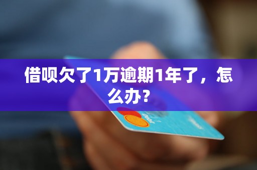 借呗欠了1万逾期1年了，怎么办？