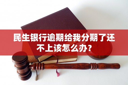 民生银行逾期给我分期了还不上该怎么办？