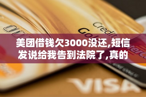 美团借钱欠3000没还,短信发说给我告到法院了,真的假的