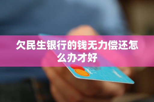 欠民生银行的钱无力偿还怎么办才好