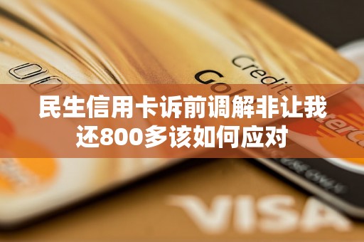 民生信用卡诉前调解非让我还800多该如何应对