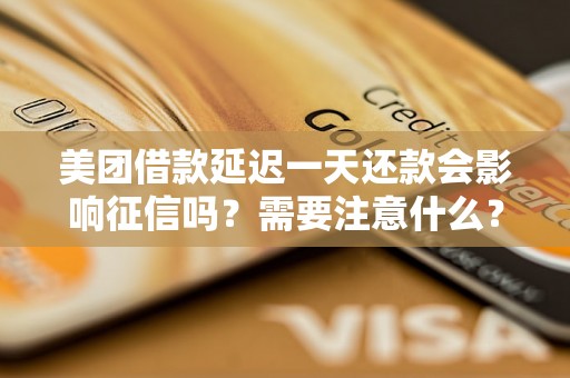 美团借款延迟一天还款会影响征信吗？需要注意什么？