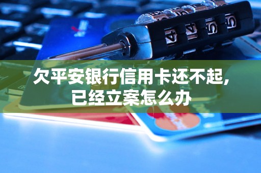 欠平安银行信用卡还不起,已经立案怎么办 欠平安银行信用卡还不起,已经立案怎么办