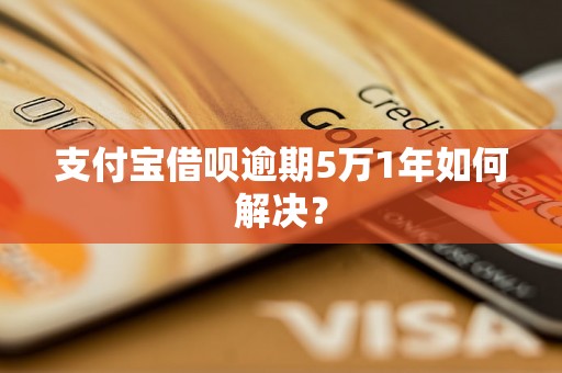 支付宝借呗逾期5万1年如何解决？