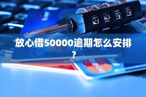 放心借50000逾期怎么安排？