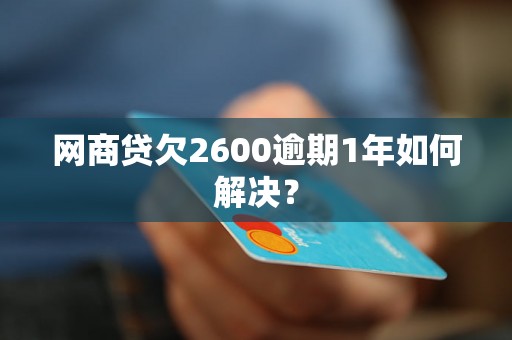 网商贷欠2600逾期1年如何解决？