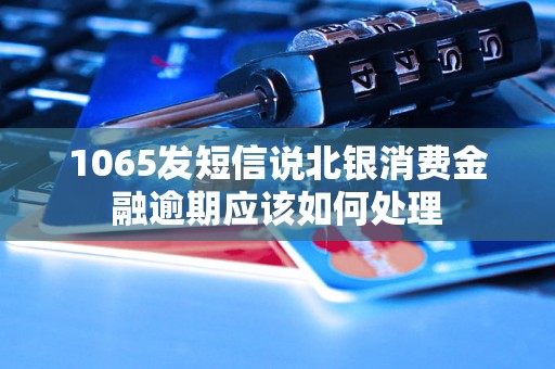 1065发短信说北银消费金融逾期应该如何处理