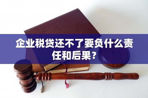 企业税贷还不了要负什么责任和后果? 企业税贷还不了要负什么责任和后果?