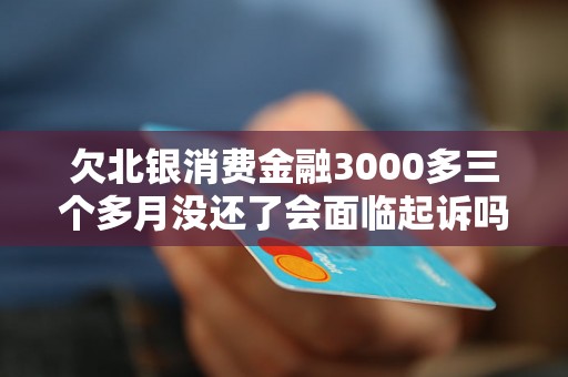 欠北银消费金融3000多三个多月没还了会面临起诉吗