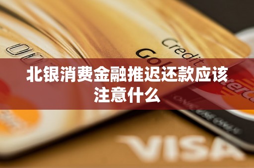 北银消费金融推迟还款应该注意什么