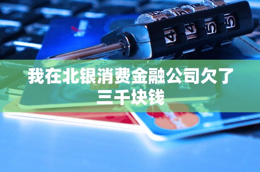 我在北银消费金融公司欠了三千块钱 我在北银消费金融公司欠了三千块钱