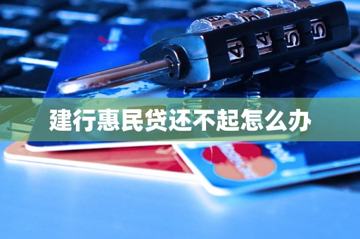 建行惠民贷还不起怎么办