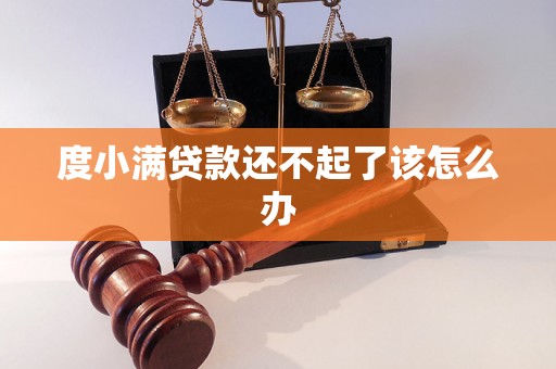 度小满贷款还不起了该怎么办