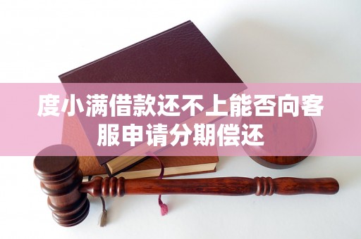 度小满借款还不上能否向客服申请分期偿还