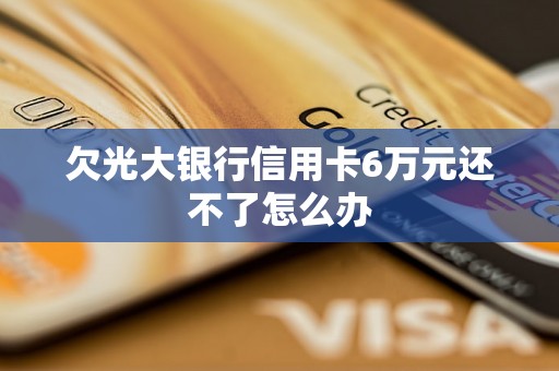 欠光大银行信用卡6万元还不了怎么办