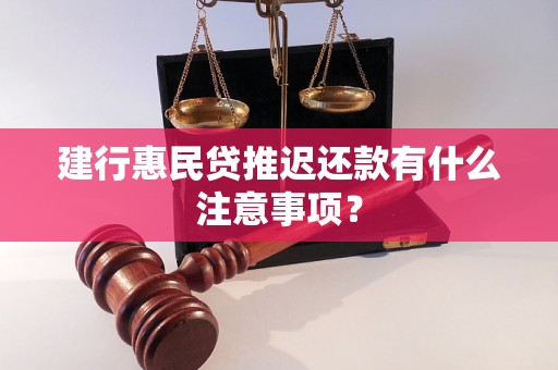 建行惠民贷推迟还款有什么注意事项? 建行惠民贷推迟还款有什么注意事项?